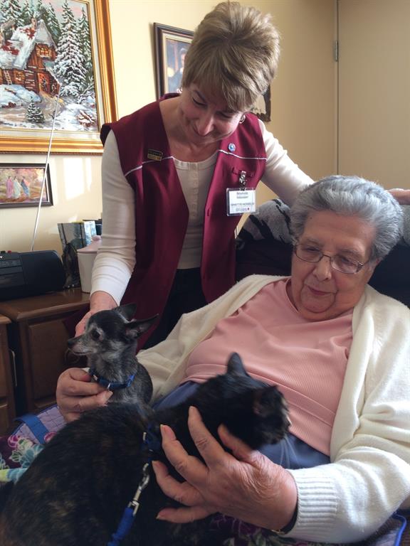 two women petting a cat